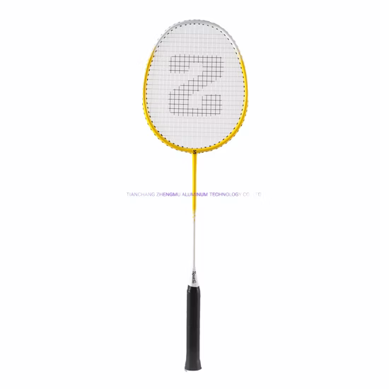 Portable 4 Players Badminton Set with Pole and Net for Badminton Games