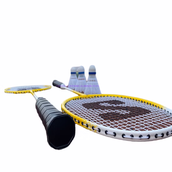 Portable 4 Players Badminton Set with Pole and Net for Badminton Games