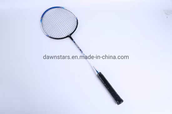 2022 Set da badminton con racchetta da badminton in ferro economico e durevole
