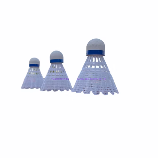 Set da badminton portatile per 4 giocatori con asta e rete per giochi di badminton